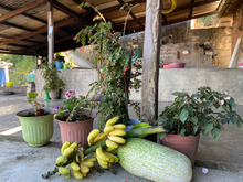 Load image into Gallery viewer, Paraiso - Mexico