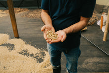 Load image into Gallery viewer, La Primavera - Pink Bourbon - Colombia